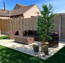 Rattan Direct Ascot Garden Furniture Set Sofa Parasol Table x2 Chairs& Cushions