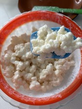 1 TSP Premium Live Organic Milk Kefir Grains Highly Active Strong Culture.