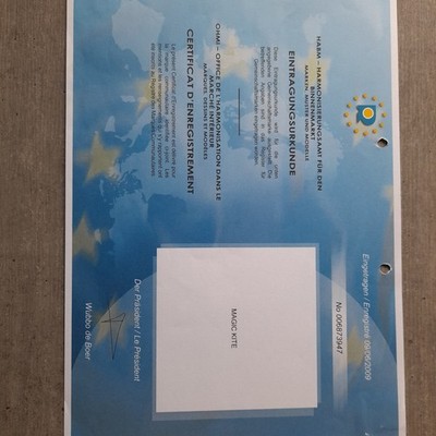 Europäisches Patentamt Marke MAGIC KITE Klasse 25  und 18
