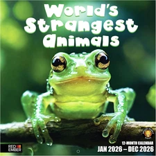 World'S Strangest Animals 2026 Wall Calendar 12 Month | 12" X 24" Open | Thick &