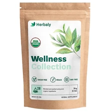 Herbaly Wellness Collection Organic Herbal Ginger Tea, 70 g, 28 Count Bag Pack 1