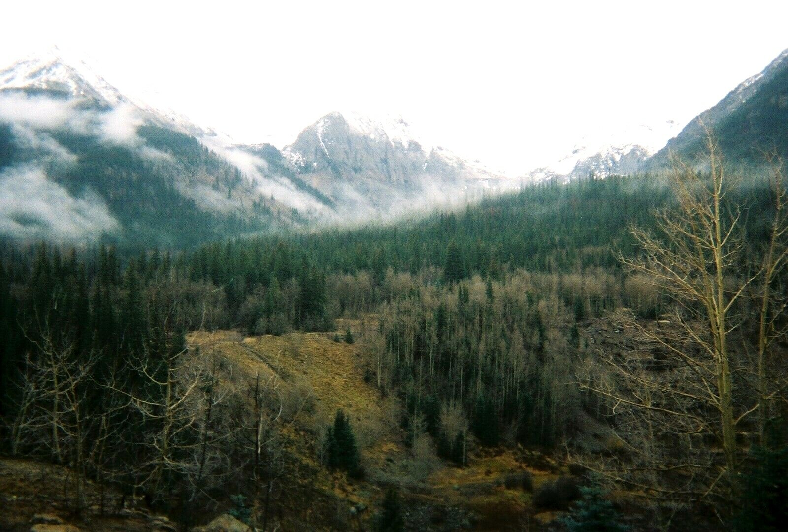Mountain Land - Silverton, Colorado