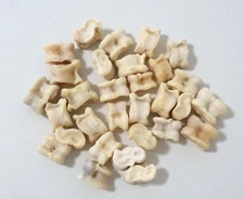 30pcs Mongolian Traditional Shagai Game Sheep Ankle Real Bones KNUCKLEBONES GAME