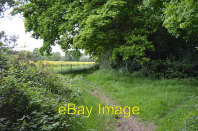 Photo 6x4 Bridleway by Greenfield Shaw Furnace Wood  c2016
