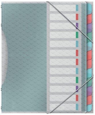 Esselte A4-Projektordner 12 Registern klaren Kunststofftaschen zur File ( 961 )
