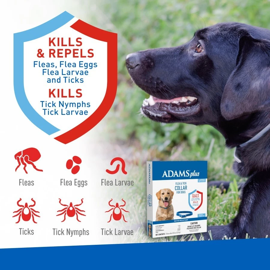 Adams Plus Flea & Tick Collar For Dogs Large Puppies Adult 7 Month Protection - Image 2 of 4