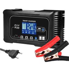 10A/20A 12/24V Battery Charger Fully Automatic Pulse Repair Charger for Lifepo4