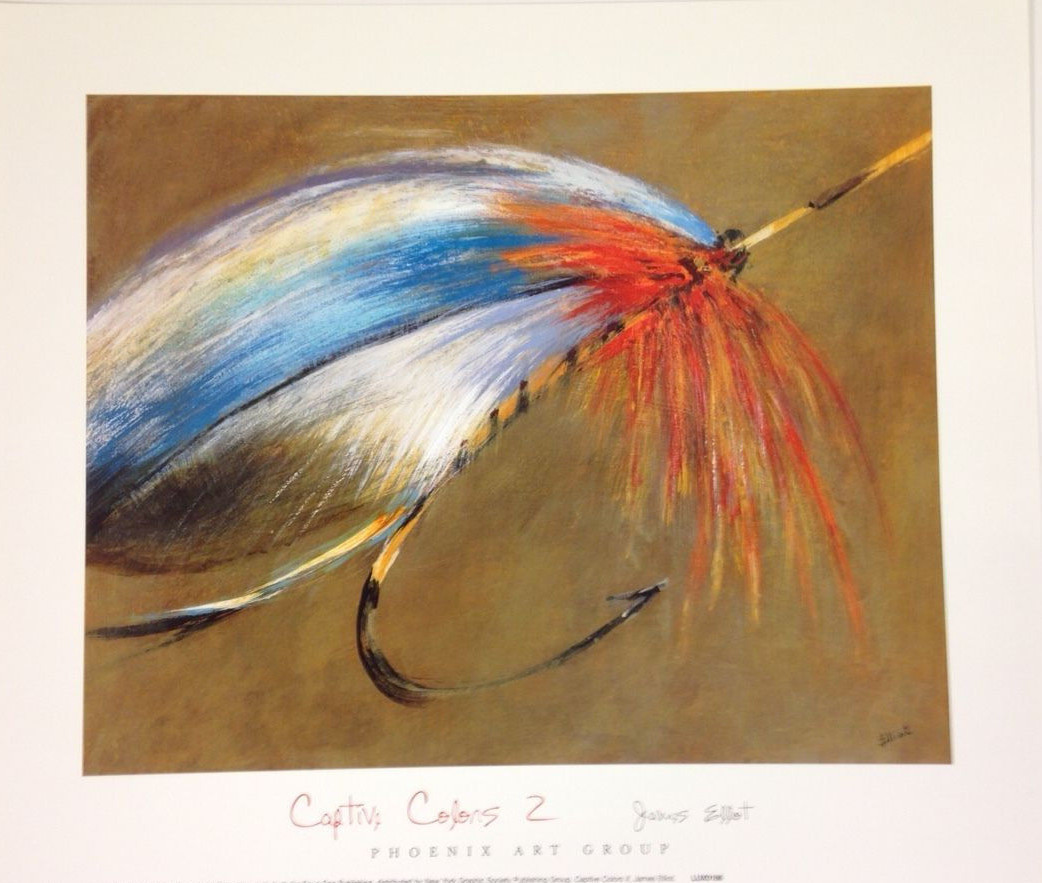 fish and hook elliot FLY FISHING ART PRINT Captive Colors II by James Elliot 12x14 Fish Hook  Poster 2