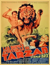 Movie POSTER.Tarzan film.Spanish.Lion.Home Room decor Decorator art print.q601