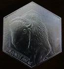 10 Oz Silver - .999 - BUFFALO/WARRIOR - Unique Hexagonal Design - Art Bar