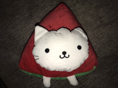 watermelon cat plush