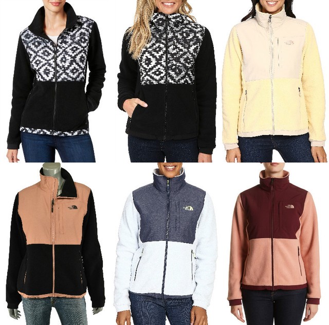 north face women's denali 2 fleece jacket
