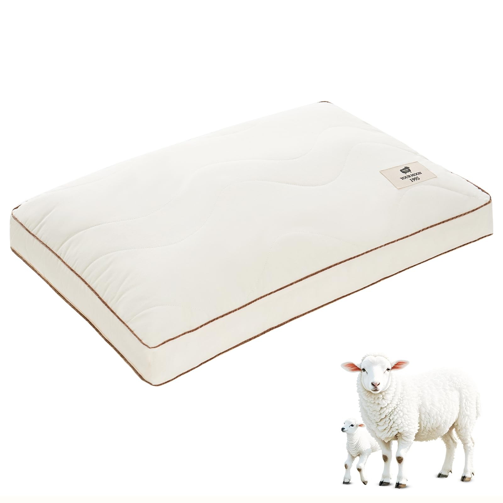 For Sleeping, P...