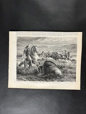 GUARDIANS of the HERD Buffalo BULLS CHARGING HUNTERS.-Harpers Original 1873