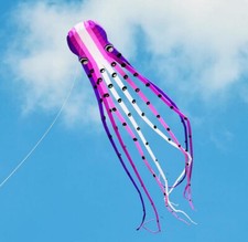 new 3D eyes 15m Amethy1 Line Stunt Parafoil Octopus POWER Sport Kite outdoor toy