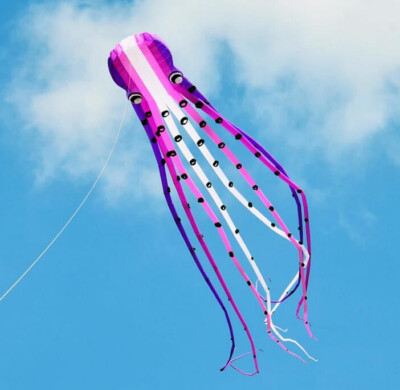 new 3D eyes 23m Amethy1 Line Stunt Parafoil Octopus POWER Sport Kite outdoor toy