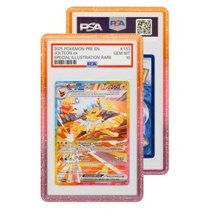 Sunset Graded Guard | eBay