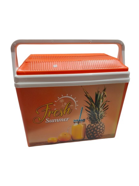 FRIGORÍFICO DE PLAYA REFRIGERADOR DE BEBIDAS PORTÁTIL 28L BARCO CÁMPER