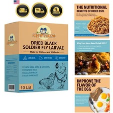 Black Soldier Fly Larvae Treat for Chickens Wild Birds 10lb High Protein Calcium