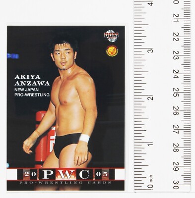 AKIYA ANZAWA - 2005 BBM Pro-Wrestling Trading Card | eBay