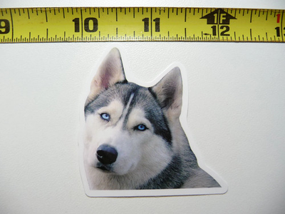 #ad #ad SIBERIAN HUSKY FUNNY DOG SMALL STICKER DECAL PET PLAY FURBALL FUNNY $2.89