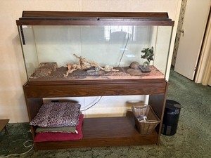 Fish Tank 50 Gallon With Stand As Is Must Be Able To Come Pick It Up