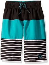 Speedo Boys' Classic Stripe Blocked Swim Short 18'' Bottom Marine Green XXS 4/5