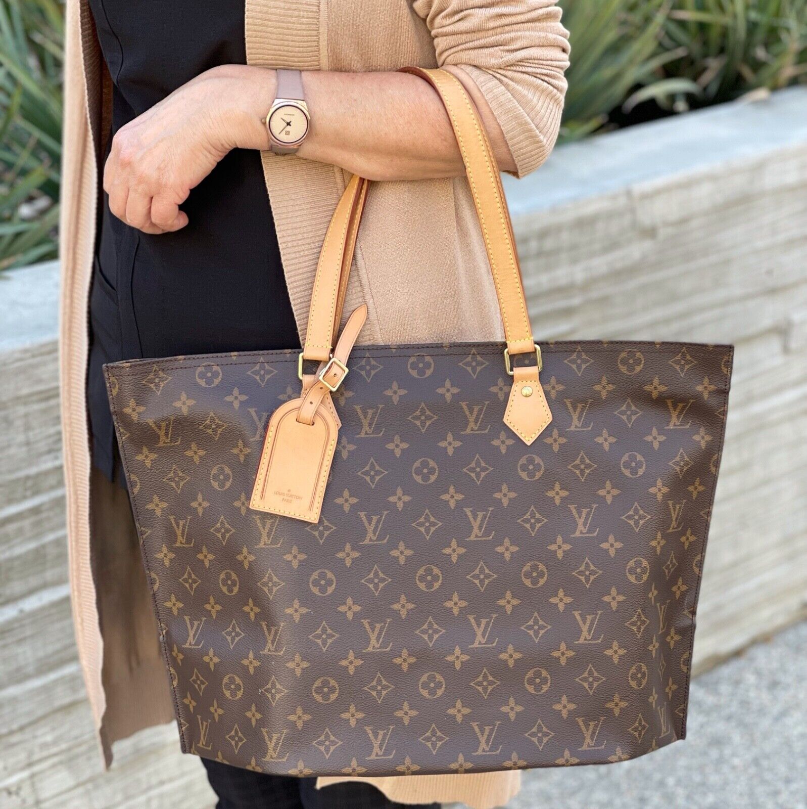Louis Vuitton All-In Bag
