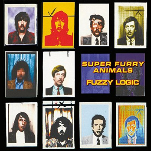 Super Furry Animals Fuzzy Logic (Vinyl LP)
