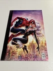 AMAZING SPIDER-MAN #13 TONY DANIEL EXCLUSIVE VIRGIN VARIANT BLACK CAT