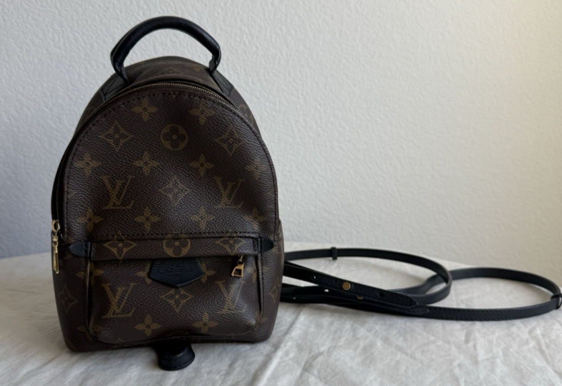 Louis Vuitton Palm Springs Backpack Monogram Canvas Mini | eBay