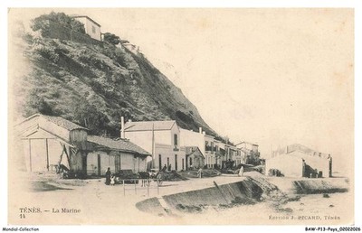 BAWP13-1175 - ALGERIEN - TENES - La marine