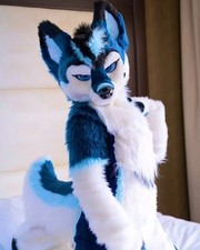 Long Fur Husky Dog Fox Mascot Costume Fursuit Halloween Suit Cosplay
