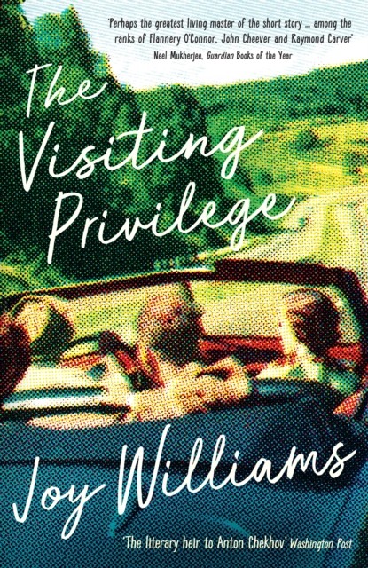 The Visiting Privilege by Joy Williams PAPERBACK - Image 5