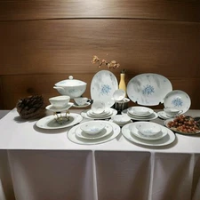 Johann Haviland - 6 Pc Place Setting - Service for 4 PLUS HOSTESS PIECES