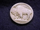 1913 VARIETY I RAISED GROUND BUFFALO NICKEL!!    #310**