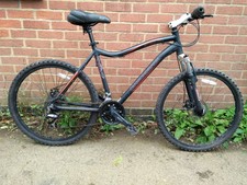 diamondback hyrax 24