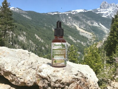 Marshmallow & Licorice Root Tincture - (Respiratory System)