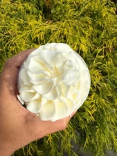 Rapid-Action Breast Enlargement Cream for Quick Growth - Lifting and Firming