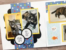 Cat Scrapbook pages, Premade Cat Pages, Kitten Scrapbook Layouts, Kitten Pages