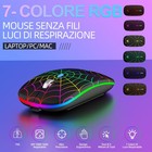 Foto 10 di 24
