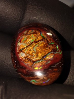 Koroit Boulder Opal Double-Sided Nuss    24,35 ct   Queensland