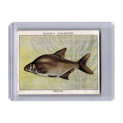Bream 1933 Player Cigarettes Fresh Water Fishes #2.0 VG