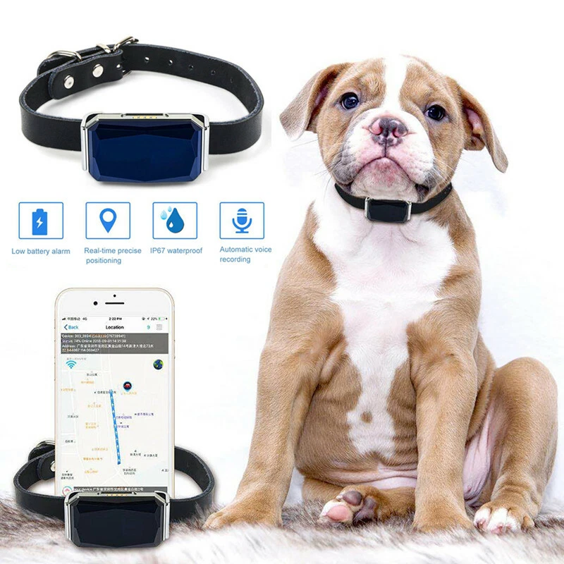 Ebay pet on sale tracker