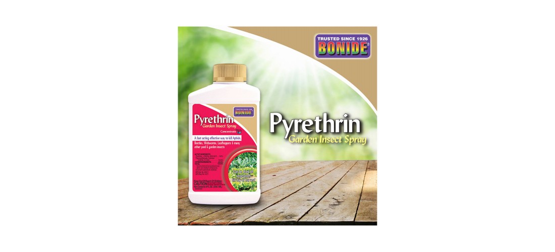 Bonide 8 Oz. Concentrate Pyrethrin Garden Insect Spray