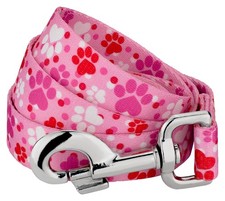 Country Brook Petz  6 Foot Everyday Dog Leash - Affection Collection