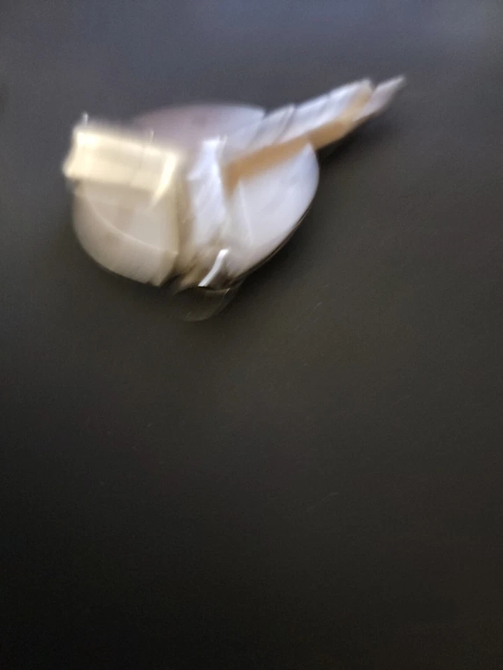 Car Automobile AM/FM FM Only Antenna Splitter  - Image 4 of 4