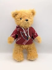 Arizona Cardinals Good Stuff Bear In Hoodie Sweatshirt Plush 2009 10 Inch Tall 