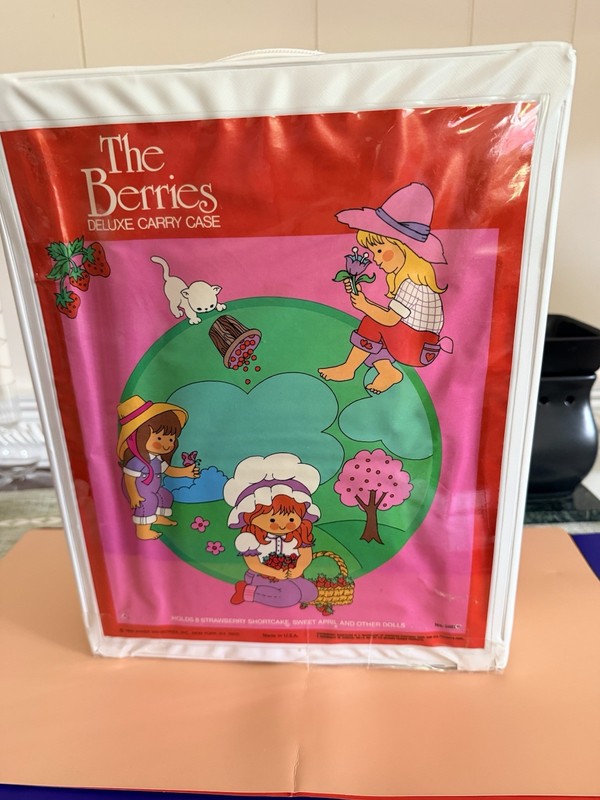The Berries Deluxe Carry Case Lot w Strawberry Shortcake, Friends & Accessories