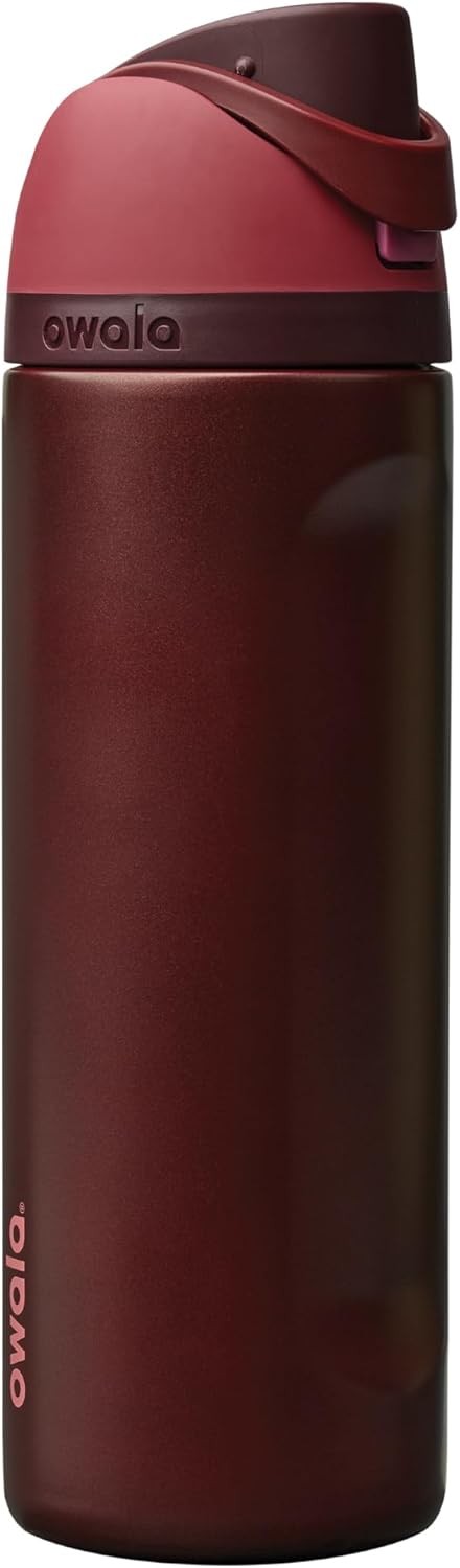 Freesip Insulated Stainless Steel Water Bottle with Straw, Bpa-Free Sports Water